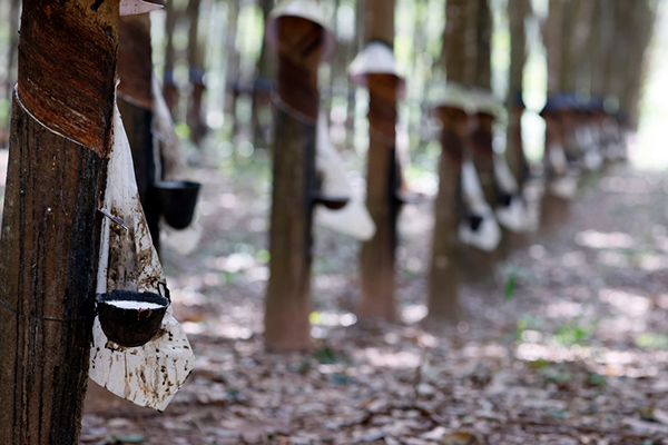 China's Rubber Power Play Threatens US Security
