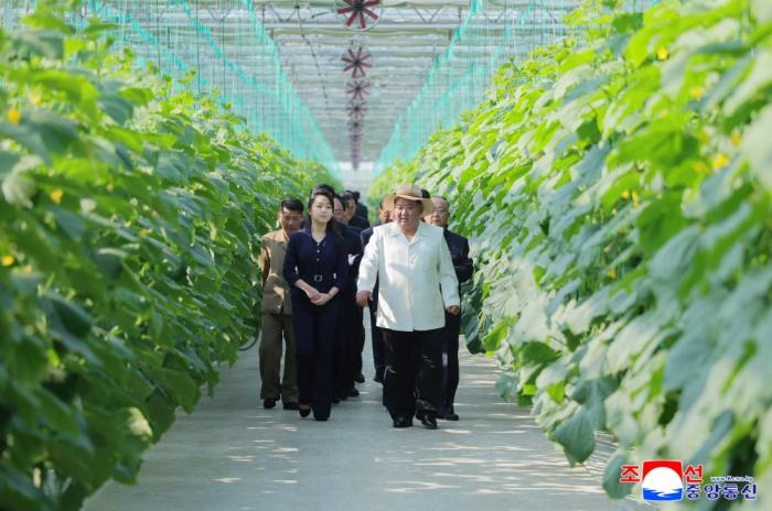 Kim Jong-un Visits Greenhouse Farms in North Korea