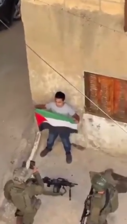 Israeli Soldiers Allegedly Force Boy to Hold Gun, Raise Arms During Arrest