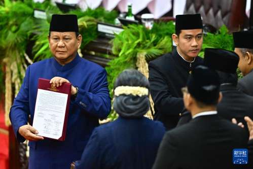 Indonesia's Nickel Strategy Faces Contradictions Amidst Foreign Investment Concerns