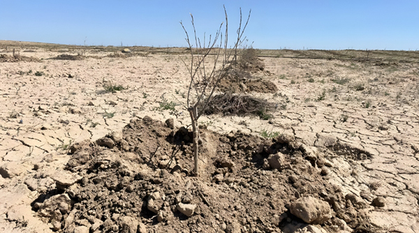 Water Security Crisis Threatens Central Asia Amidst Iran Conflict