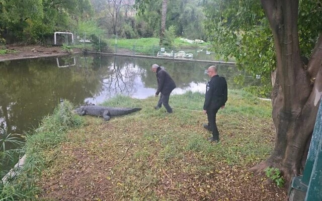 Crocodile Prison Plan Fizzles in Israeli Court