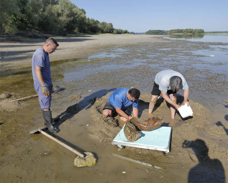 Europes Rivers Face Dire Drought Crisis, Threatening Energy, Industry, and Society
