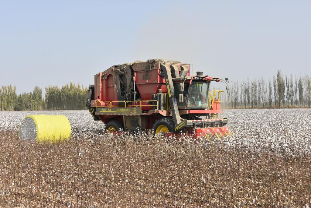 US Imposes Sanctions Against Xinjiang Amid Five Independents