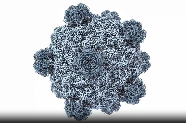AI Designs Functional Viruses: Potential Breakthrough, Biosecurity Concerns