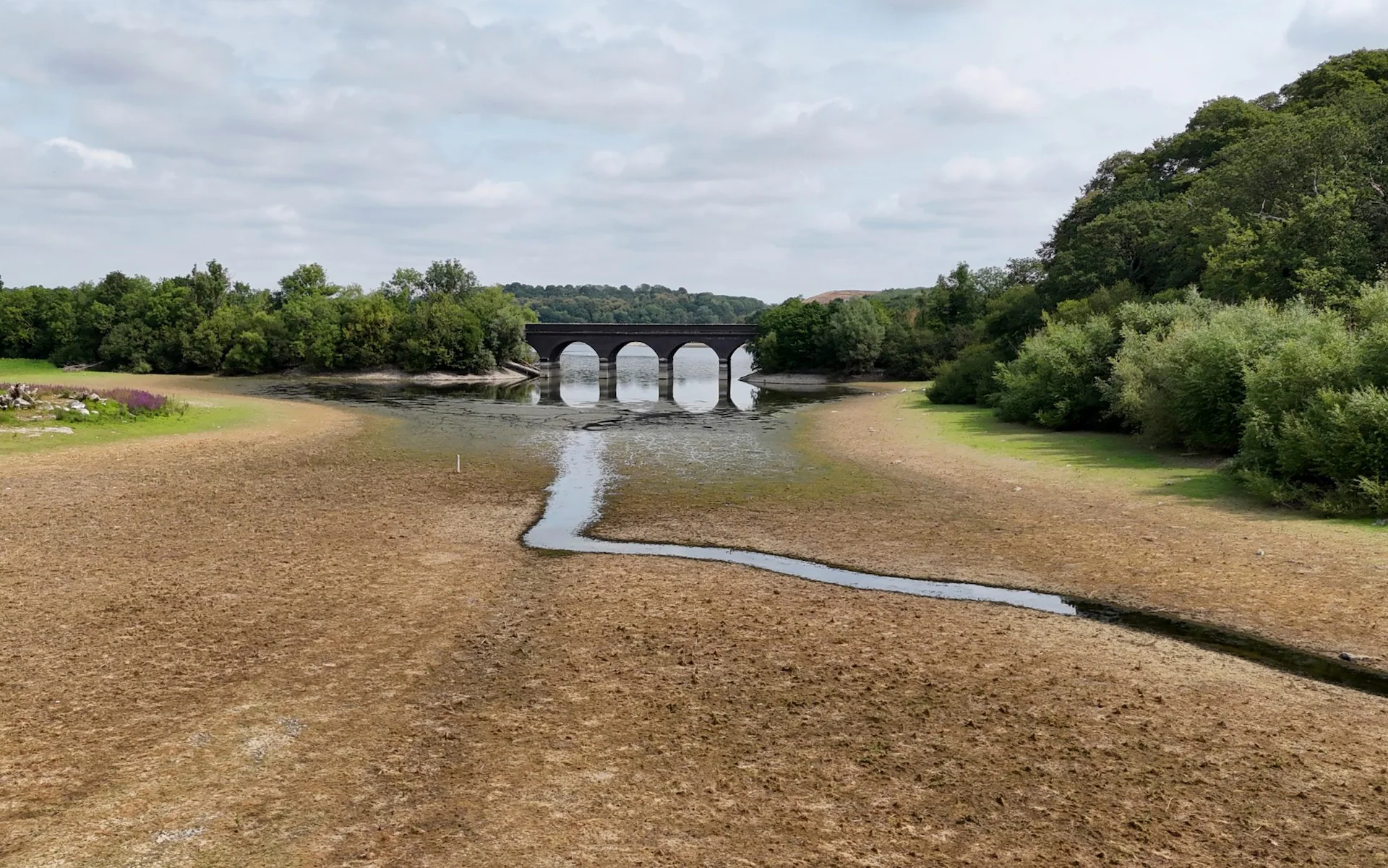 UK Water Companies Seek Authority to Raise Prices During Drought