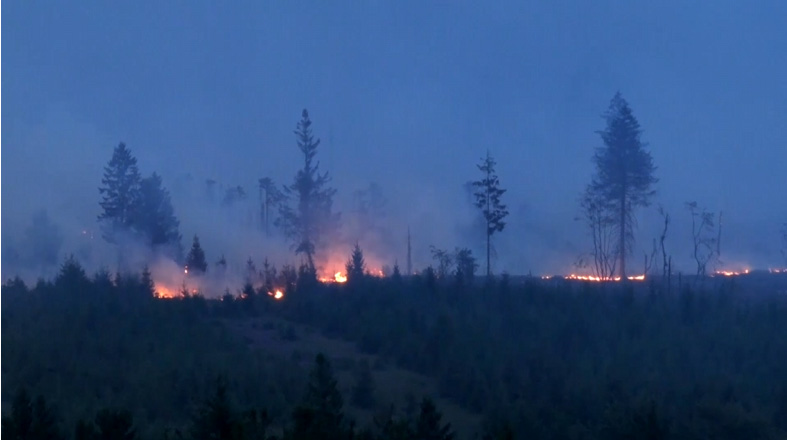 Belgium Records Largest Wildfire in History, Threatens German Border