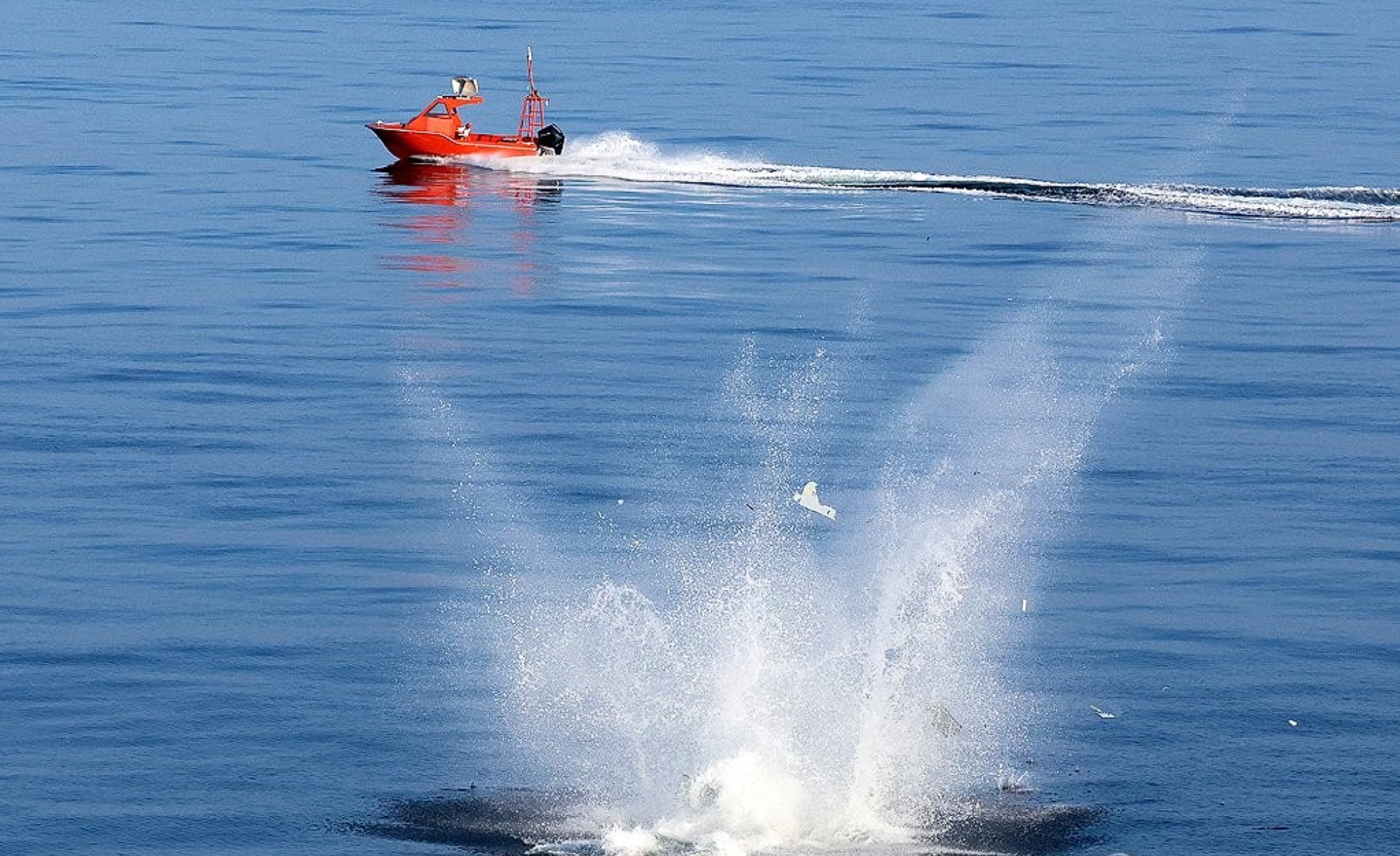 South Korean Suicide Drone Test Fails in Sea