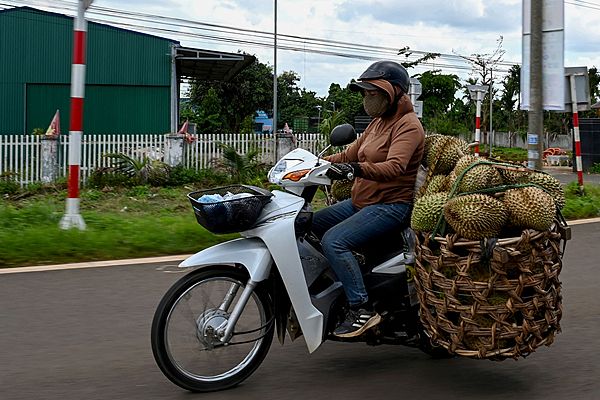 Durian Boom Fuels Vietnamese Farm Transformation