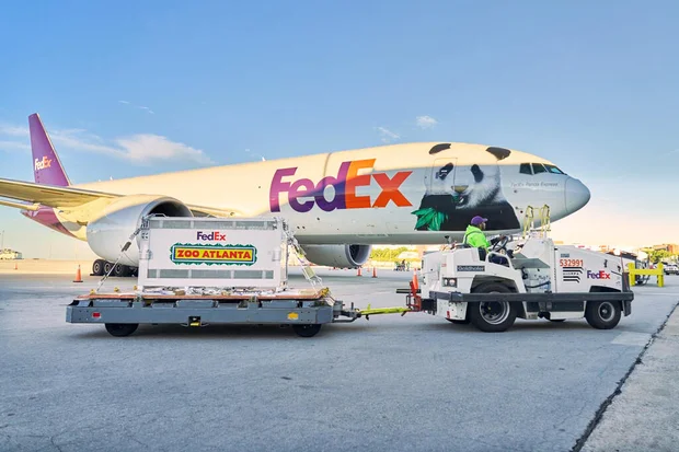Pandas Arrive in Atlanta for 10-Year Stay