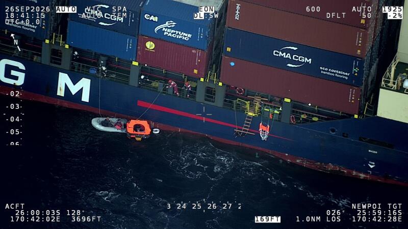 Whale Strikes Australian Yacht, Leaving Four Crew Members adrift
