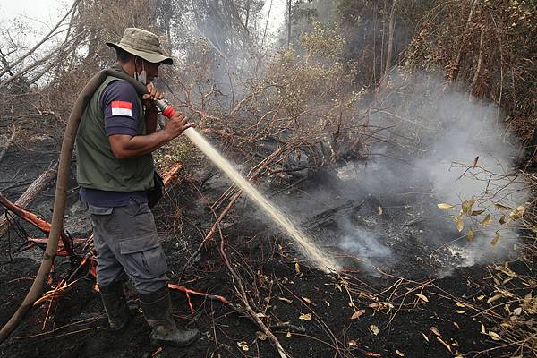 Indonesias Forest Fires Cause Haze Disruption and Renewed ASEAN Smoke Concerns